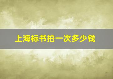 上海标书拍一次多少钱