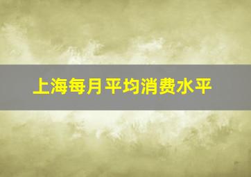 上海每月平均消费水平