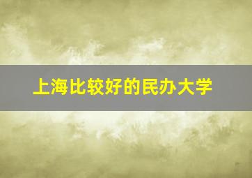 上海比较好的民办大学