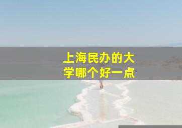 上海民办的大学哪个好一点