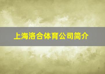 上海洛合体育公司简介