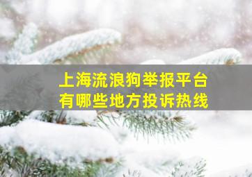 上海流浪狗举报平台有哪些地方投诉热线