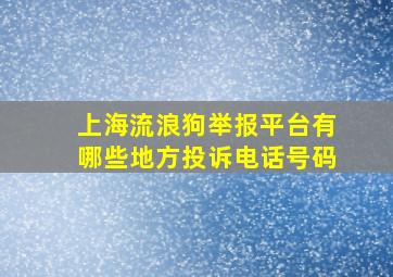 上海流浪狗举报平台有哪些地方投诉电话号码