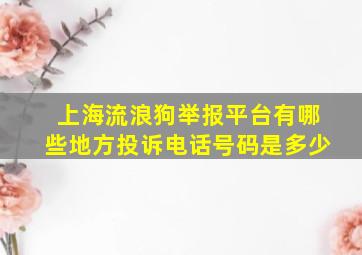 上海流浪狗举报平台有哪些地方投诉电话号码是多少