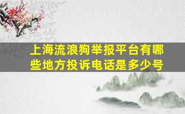 上海流浪狗举报平台有哪些地方投诉电话是多少号