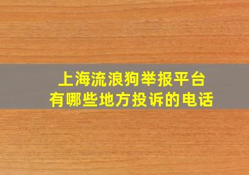 上海流浪狗举报平台有哪些地方投诉的电话