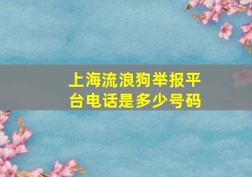 上海流浪狗举报平台电话是多少号码