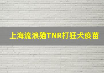 上海流浪猫TNR打狂犬疫苗