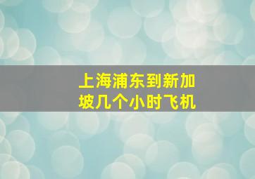 上海浦东到新加坡几个小时飞机