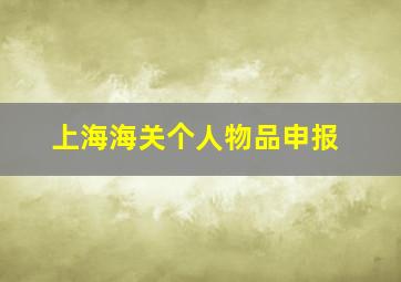 上海海关个人物品申报