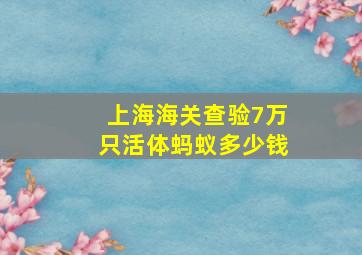 上海海关查验7万只活体蚂蚁多少钱