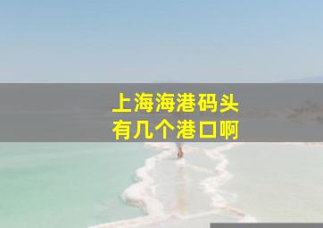 上海海港码头有几个港口啊