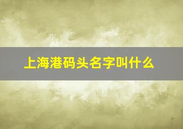 上海港码头名字叫什么