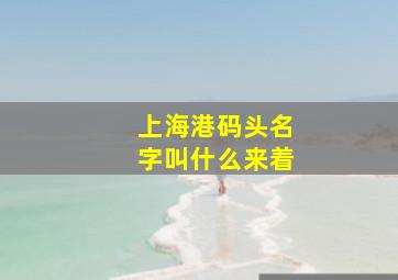 上海港码头名字叫什么来着