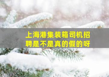 上海港集装箱司机招聘是不是真的假的呀