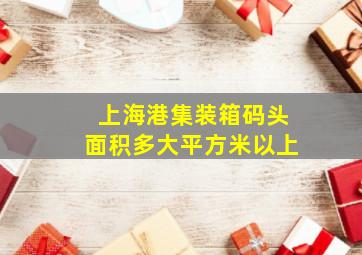 上海港集装箱码头面积多大平方米以上