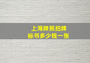 上海牌照拍牌标书多少钱一张