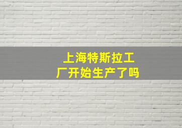 上海特斯拉工厂开始生产了吗