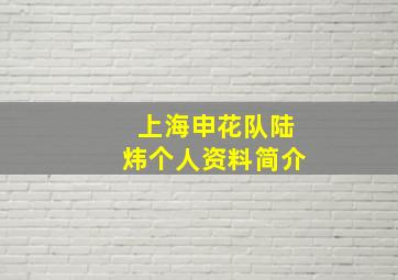 上海申花队陆炜个人资料简介