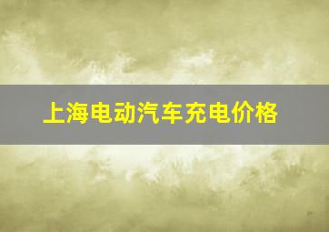 上海电动汽车充电价格