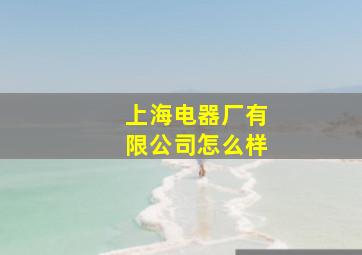 上海电器厂有限公司怎么样