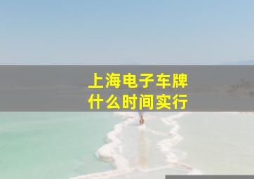 上海电子车牌什么时间实行