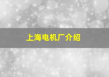 上海电机厂介绍