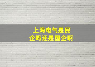 上海电气是民企吗还是国企啊