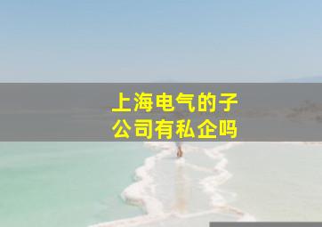 上海电气的子公司有私企吗