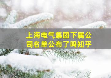 上海电气集团下属公司名单公布了吗知乎