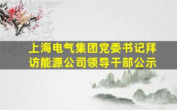 上海电气集团党委书记拜访能源公司领导干部公示