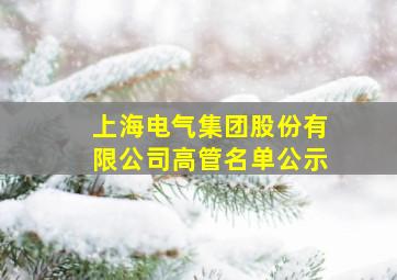 上海电气集团股份有限公司高管名单公示