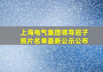 上海电气集团领导班子照片名单最新公示公布