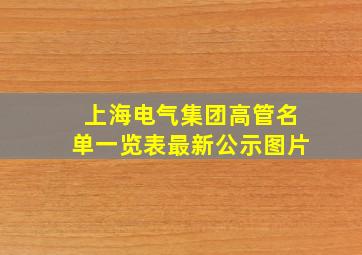 上海电气集团高管名单一览表最新公示图片