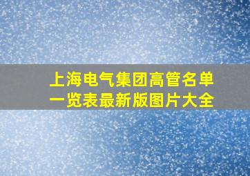 上海电气集团高管名单一览表最新版图片大全