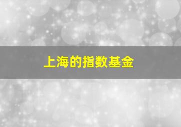 上海的指数基金