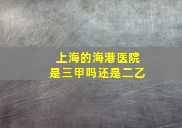 上海的海港医院是三甲吗还是二乙