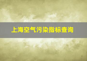 上海空气污染指标查询