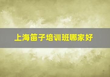 上海笛子培训班哪家好