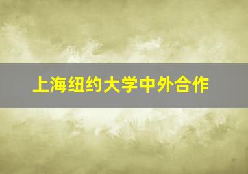 上海纽约大学中外合作