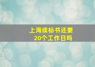 上海续标书还要20个工作日吗