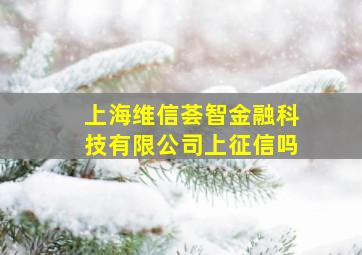 上海维信荟智金融科技有限公司上征信吗