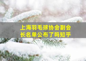 上海羽毛球协会副会长名单公布了吗知乎