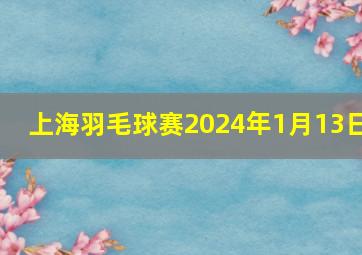 上海羽毛球赛2024年1月13日