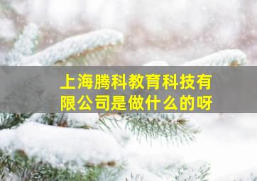 上海腾科教育科技有限公司是做什么的呀