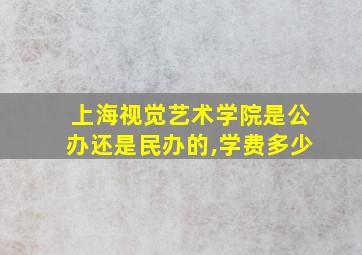 上海视觉艺术学院是公办还是民办的,学费多少