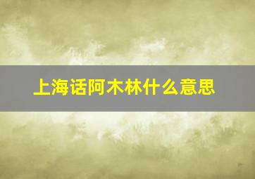 上海话阿木林什么意思