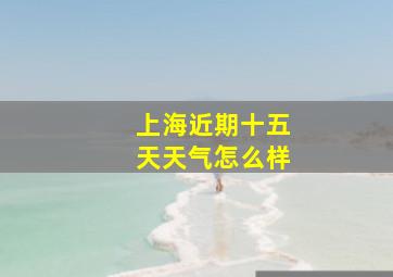 上海近期十五天天气怎么样