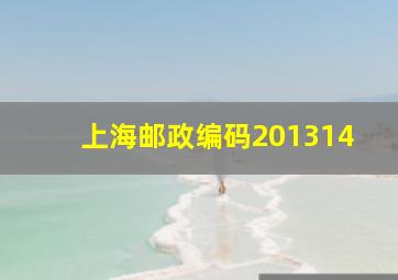 上海邮政编码201314