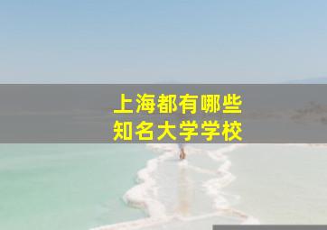 上海都有哪些知名大学学校